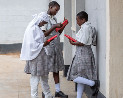 Instant network schools